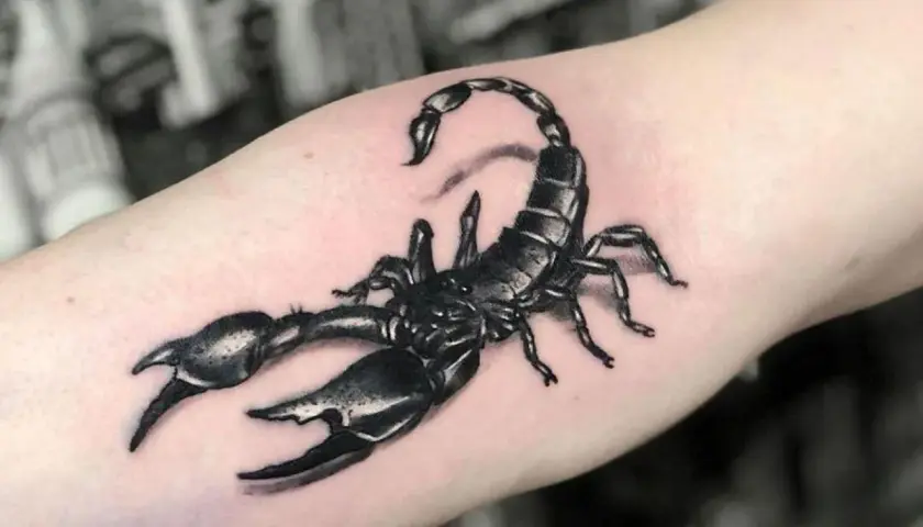 Tatuaż skorpiona: symbolika, znaczenie i co mówi o Tobie?