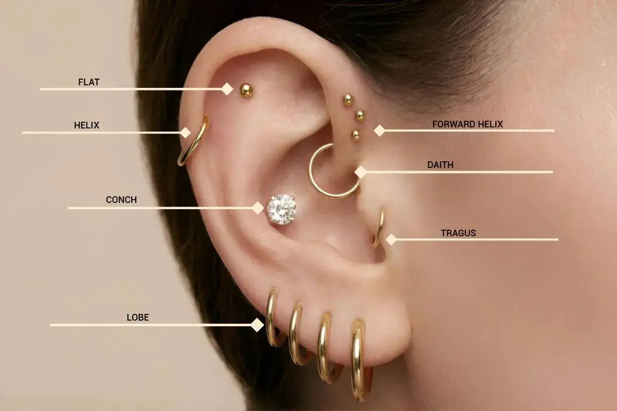 Ucho z licznymi złotymi kolczykami: płaskie, helix, conch, lobe, forward helix, daith, tragus. To jest właśnie piercing co to.